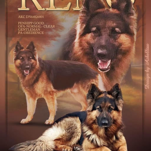 Reno Dunn ll 2