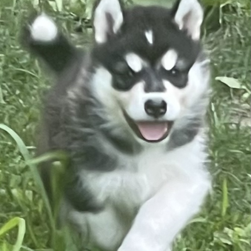 Outgoing female  2