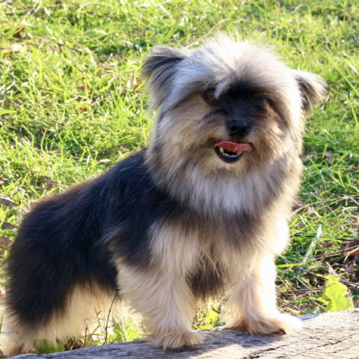 George 3