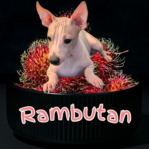 Rambutan  2