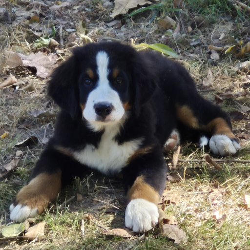 Matilda