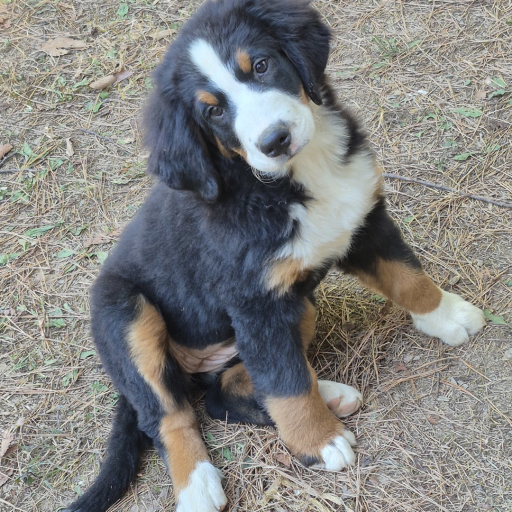 Matilda 2